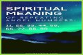 
Repeating Angel Numbers - 1's and 6's  (1166, 1161, 6161, 6611, 661 etc)

